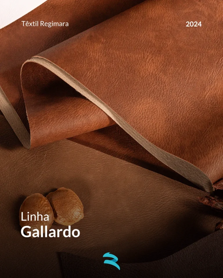 artes-regimara_02_6_11zon